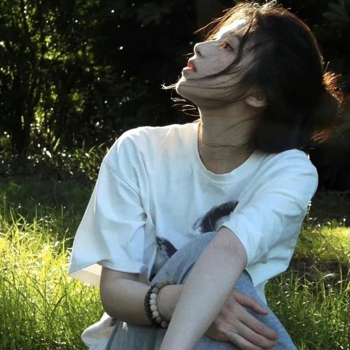 法网追凶